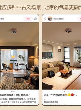 c601aa明装中古s色风客厅卧无室斗胆灯全光谱护眼家用防眩胡桃木