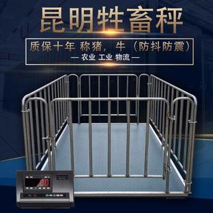 上海云南昆明耀华无线地磅秤带围栏称猪牛1 3吨称重小型地磅电