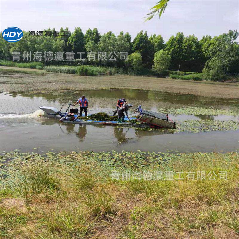 电动泡沫船小湖平型板水草打捞船泡GGW清沫割草船简易割草船面洁