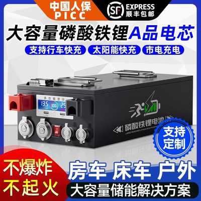 房车专用车载大容量宁德磷酸铁锂电池12v24v48v伏电源大单体电芯