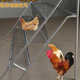 鸡栖息架鸡爬架鸡站架鸡爬梯养殖网架鸡睡觉架子鸡栖架禽类休息架