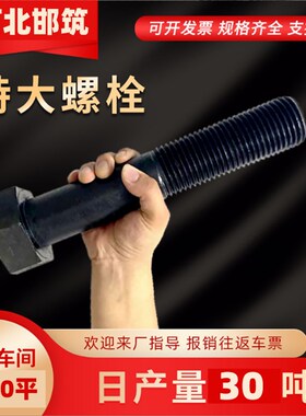 特大螺丝加长螺栓六角高强度螺o丝M42M45M48M52M56M60M64M68M72M8