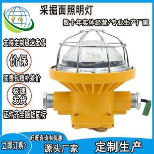 采掘面照明灯 矿用隔爆型LED支架灯DGC41 127L