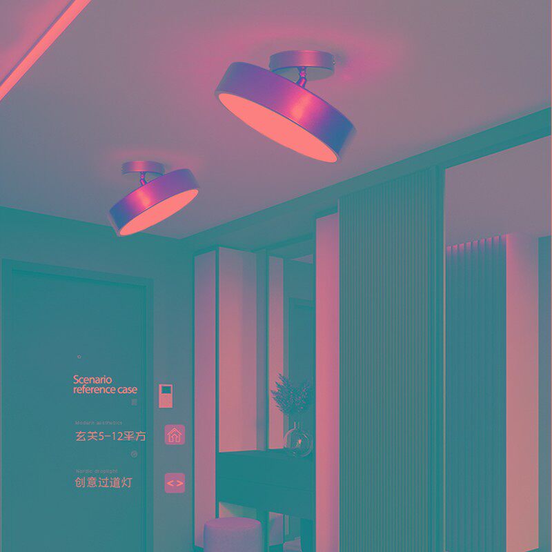 简约现代入户玄关吸顶灯门厅过道走廊阳台衣帽间楼梯间斜顶吸顶灯,家装灯饰光源,厨卫/阳台/玄关/过道吸顶灯,淘宝优惠券,粉丝福利购,淘宝优惠卷