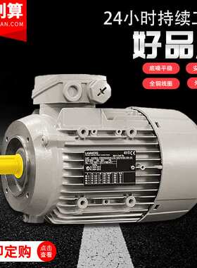 德国LAMMERS三相异步感应电动机1TZ9503系列18.5KW 1TZ9系列