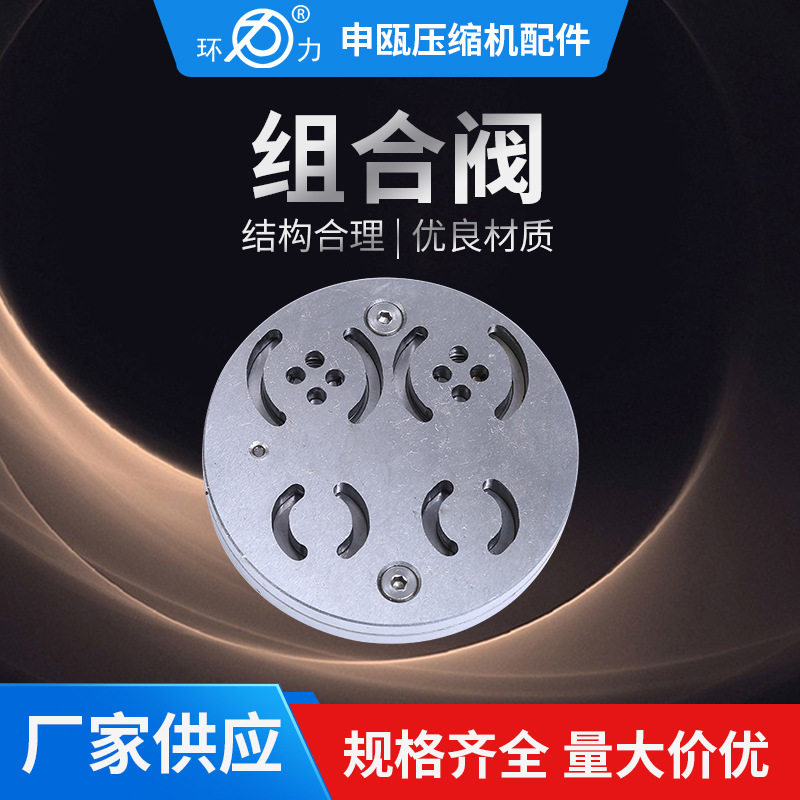 压缩机配件船用组合阀2cr13阀片环形缓冲片组件空压机配件船用