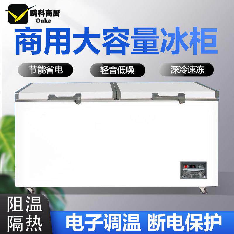 冰柜商用冷冻大容量冷藏柜一级节能家用冰箱卧式保鲜两冷柜