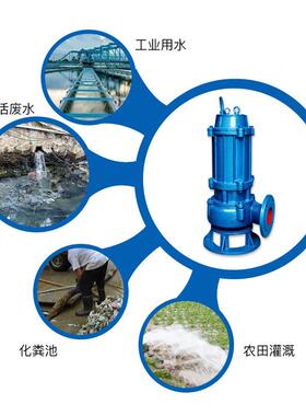 无50QW2-325.5堵塞潜水排污泵不锈钢排污泵耐5腐AMY蚀-化工排污泵