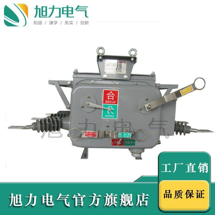 ZW20户外高ZW20-12/0压真空断路器柱上真空关ZW开20-1263手/动操