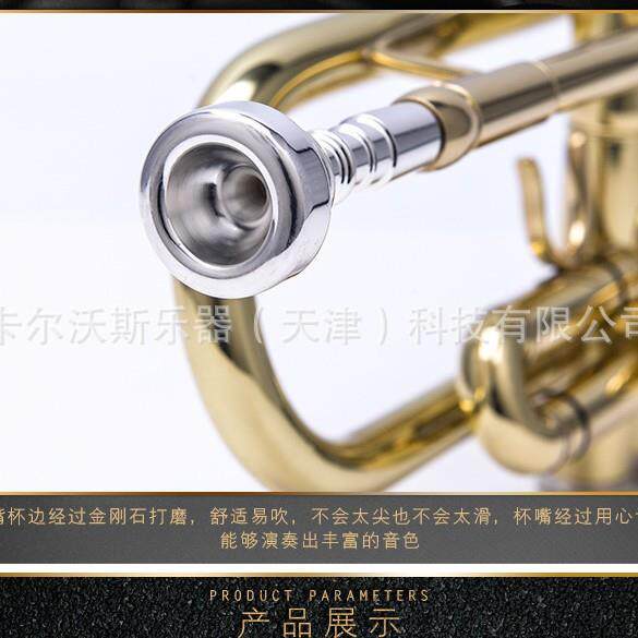 B管磷吹管小IIT号乐器降调铜乐器JK铜180S
