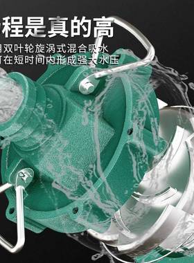 潜水泵220V高扬程高压水泵农溉用灌家BDA用单相83V1寸2寸深井抽水