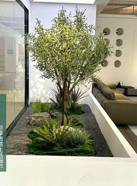 大型仿真橄榄树室HGD外景观装饰假树饰茶室装窗落地橱绿植组合内