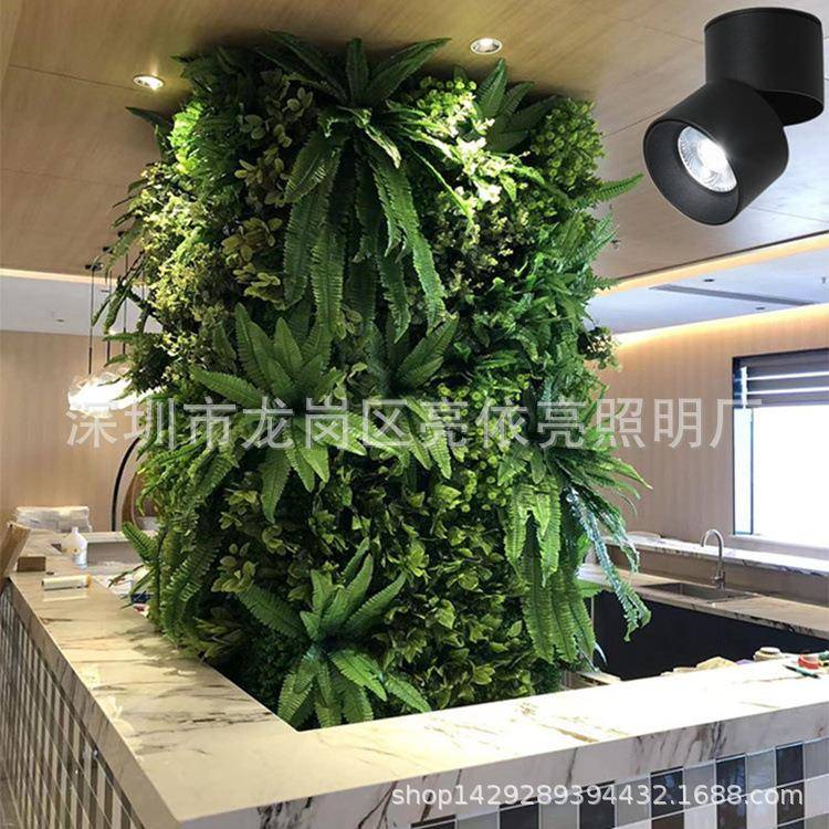 LD植生补光物灯室内小太阳长灯全光谱绿植花卉盆栽鱼缸仿太YHE阳E