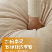 懒人沙发可可躺大睡型GXM人类狗窝两用折沙发床卧室单人叠沙发榻