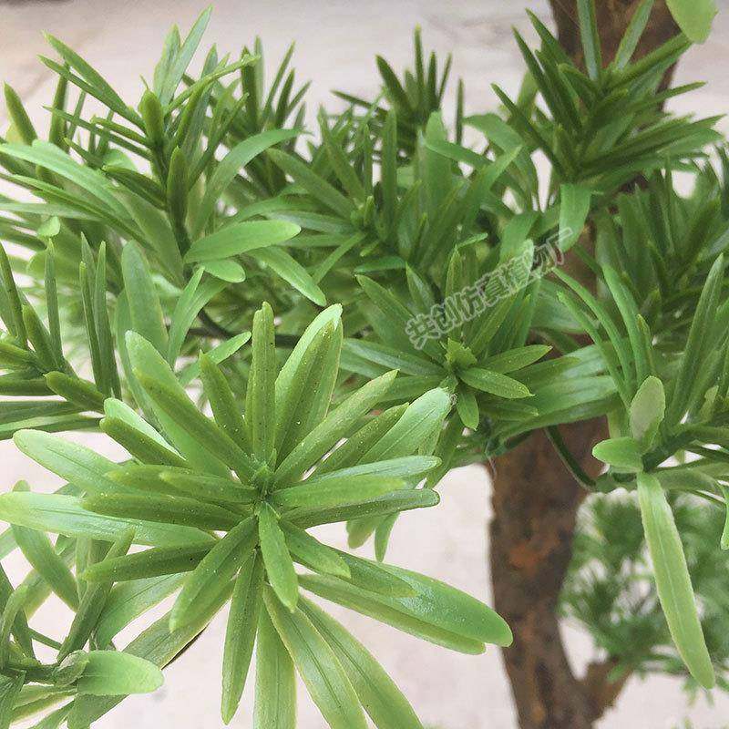 厂家直销CF0143室内摆叶放假松1.4米仿树真盆松罗汉松小栽松枝,鲜花速递/花卉仿真/绿植园艺,仿真绿植,淘宝优惠券,粉丝福利购,淘宝优惠卷