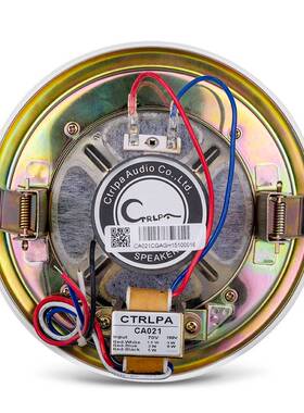 CTRLPA CA021吸顶喇叭扬声器套装吊顶嵌入式音响店铺定压天花音箱