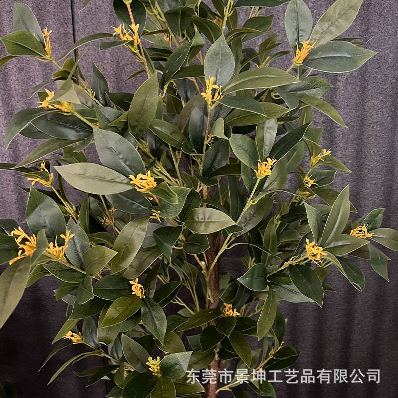 仿真桂花树室内造景塑料盆栽装饰办公室落地摆件庭院景观拍摄道具