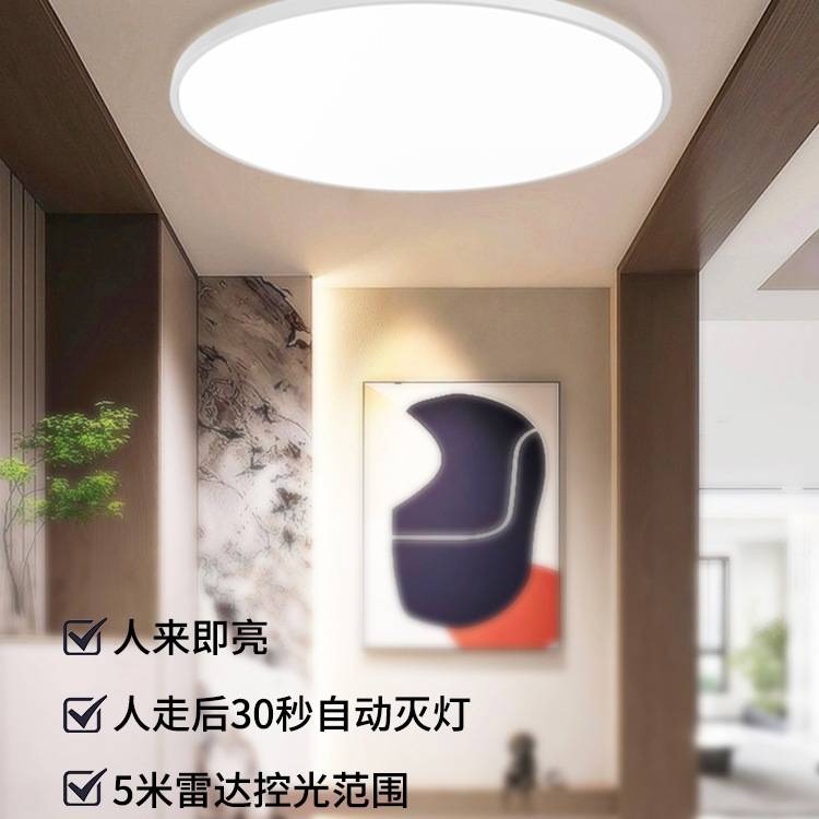 感应灯楼梯吸顶灯过道楼道走廊人体2025新款雷达入户门自动声控灯