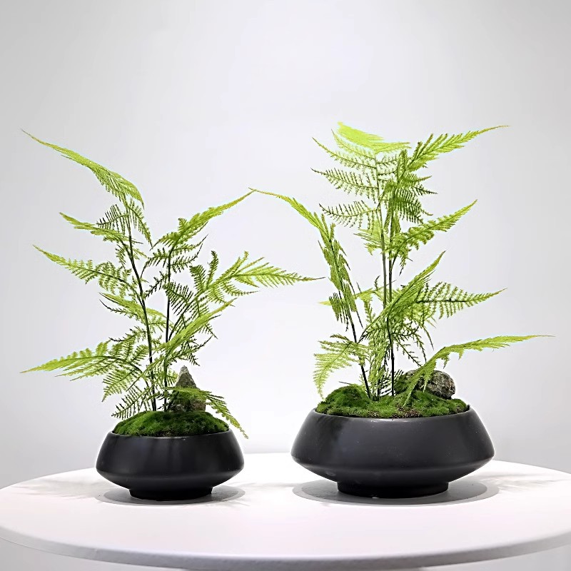 新中式仿真绿植盆景样板房客厅茶几售楼处玄关植物文竹盆栽摆件