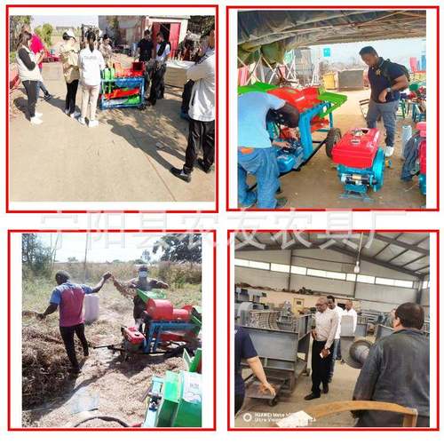 电动PLY水稻7脱粒藜麦机高谷子脱粒机00型号打豆子机脱粱的干净