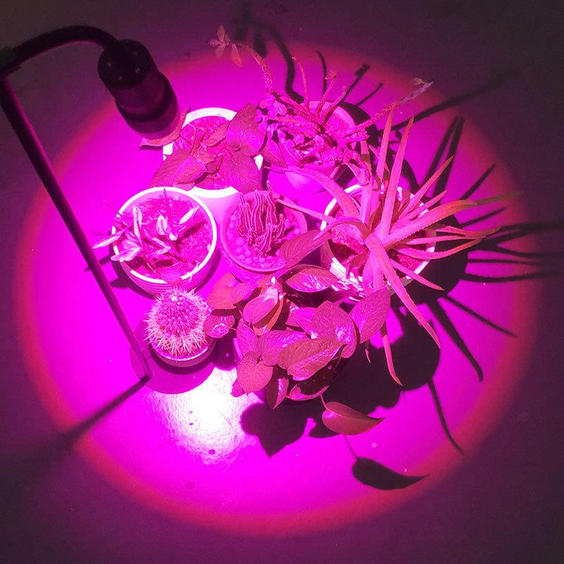 新款IRK聚光LED全光谱植光灯仿太阳定时调植物物生长光灯