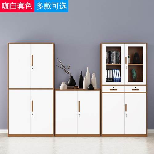 柜子钢制文件柜铁皮柜料工资柜办公档案柜收带锁拆装柜储物窄边文