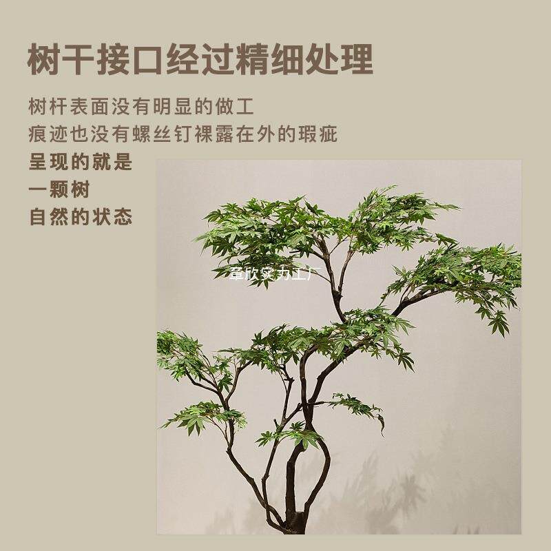 绿植鸡爪假槭枫树物景造观景橱窗商场茶室橱ZXWOLDQE窗植装饰摆件