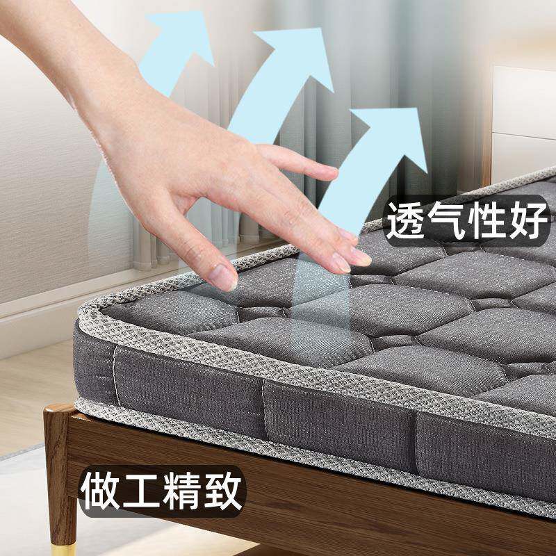 10m床垫椰棕子家用天棕床垫然环保乳胶棕垫c软垫棕榈QNO垫垫榻榻