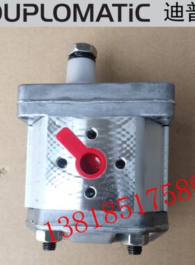 GP10027R97F20N GP10034R97F20N齿轮泵迪普马DUPLOMATIC
