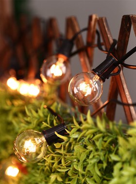 标准全铜线G40 25ft派对圣诞串灯透明复古灯泡装饰户外后花院