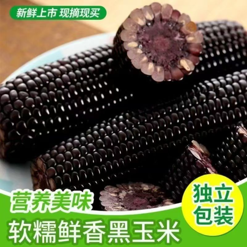东北黑糯玉米富含花青素软糯香甜
