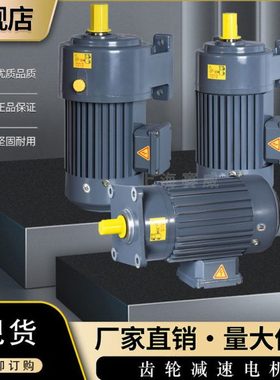 20速比齿轮减速机CH/CV28-400W三相交流电动机CV32-750W型号齐全