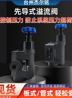 杰尔铭上海型先导式溢流阀YF-B10H4-S YF-L10H1/2/3-S 板式调压阀