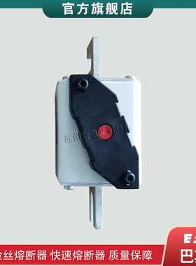 170M5249 5250 6458 6459 6460 巴斯曼bussmann快速熔断器保险丝