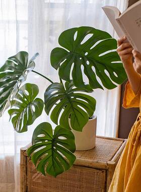 掬绿植龟背仿竹客厅办公室生室内NWR摆植物盆涵栽件落地装饰假树