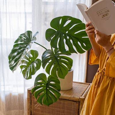 掬绿植龟背仿竹客厅办公室生室内NWR摆植物盆涵栽件落地装饰假树