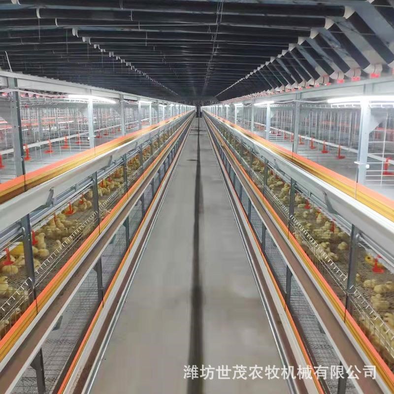 笼养 框b架笼 鸡笼 三层笼养 肉鸡笼养