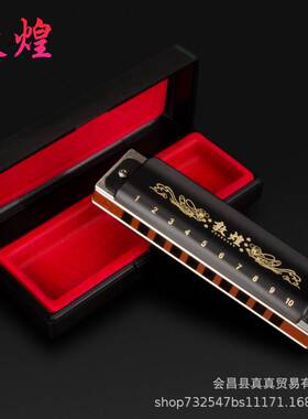 上海 敦煌 10孔 布鲁斯 全音阶 演奏口琴 C调成人 儿童 初学 乐器