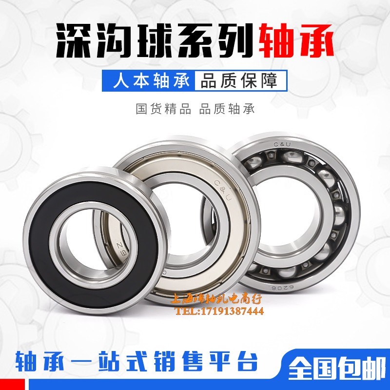 人本轴承  深沟球轴承 6313 631D3RZ 6313-2RZ  Z1C3
