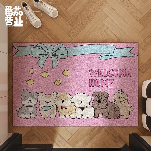 入户门口脚垫家用卡通可爱地毯丝圈可裁剪玄关垫进门蹭Z土除尘地