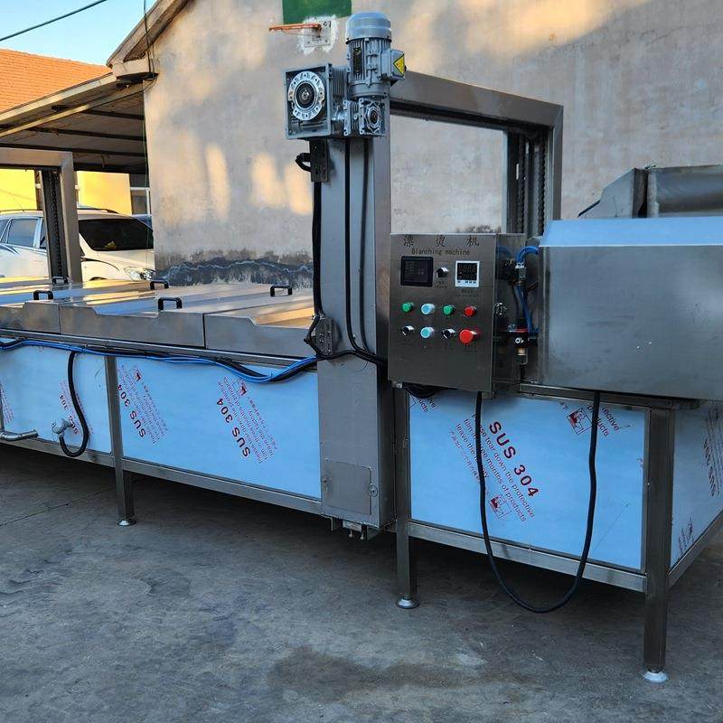 蔬菜漂烫杀青流水小型鲜玉米蒸煮漂烫机 土豆块漂烫冷却机 线,清洗/食品/商业设备,果蔬加工设备,淘宝优惠券,粉丝福利购,淘宝优惠卷