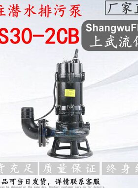 AS/AV型撕裂伤潜水排污泵/AS型撕裂式潜水泵/AS30-2CB/AS55-2CB