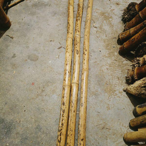 石竹洞箫料桂竹南箫料湘妃竹香妃花斑竹梅妃梅鹿竹笛子料箫材调直