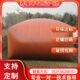 红泥软体沼气池沼气袋气袋家用全套设备大型养猪养殖场发酵储气袋
