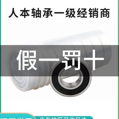 人本高速电机轴承6016 6017 6018 6019 6020 6021 6022 6024 2RZ