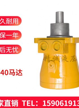 ZM-40徐工回转马达XM-F40L 轴向柱塞泵（马达）XM-F75F吊机专用