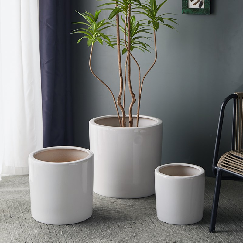 高档白色特大号陶瓷花盆大口径30cm以上简约家用客厅X阳台琴叶榕