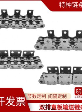 工业传动输送滚子单孔双孔立板4分5分6分1寸08B 10A 12A 直板链条