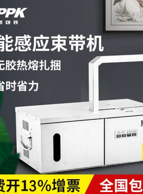 SD-201全自动束带机小型蔬菜扎捆机捆菜机塑料带无胶水热熔捆扎机