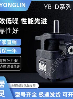 YLC仙居永灵中压油泵YBD-2.5 4 6 10 16 25 32 40 50 63 80 100